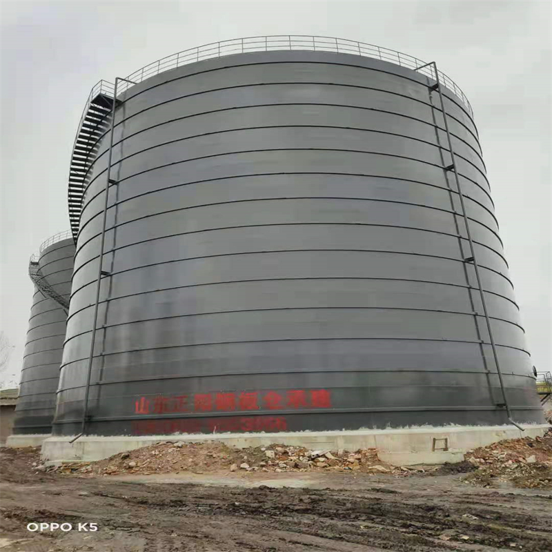 双阳3万吨大型钢板库