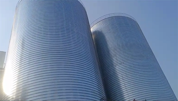 双阳2座混凝土高架卷板仓